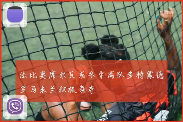 法比奥席尔瓦或冬季离队多特蒙德罗马米兰积极争夺
