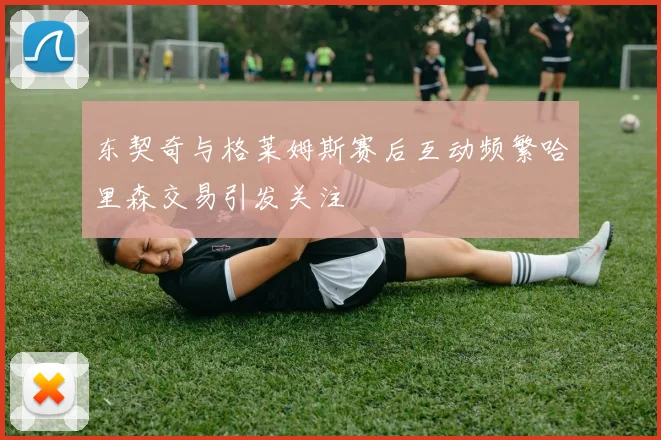 东契奇与格莱姆斯赛后互动频繁哈里森交易引发关注