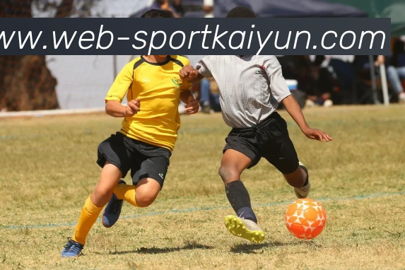 开云体育发展历程